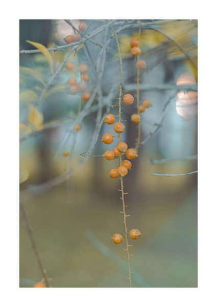 世界赠予我拥有